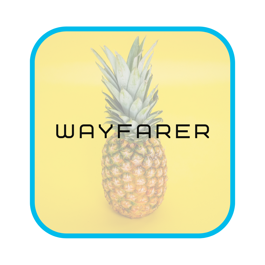 Wayferer Sample WAYFARER ENJOY YOUR TIME - A program to help identify your strengths ...